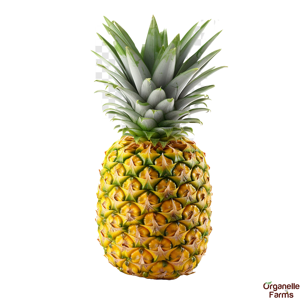 Pineapple-1 Pc(500g-700g)