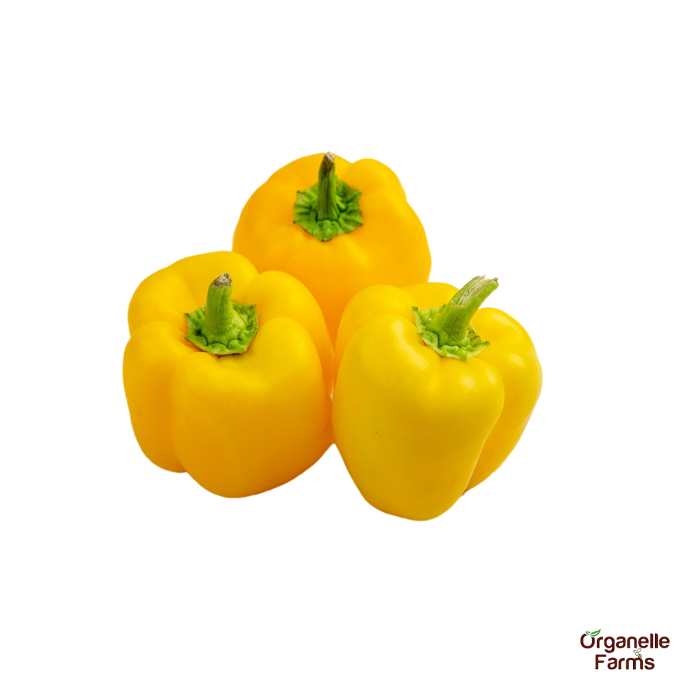 Yellow Capsicum-250 Gms