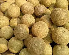 Wood Apple(Belo)-1pc