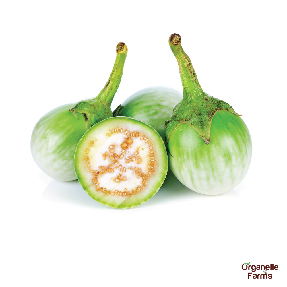 Brinjal Green (Round)-500gms