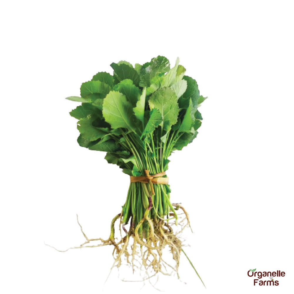 Sarso (Mustard) Saga - 100 Gms 