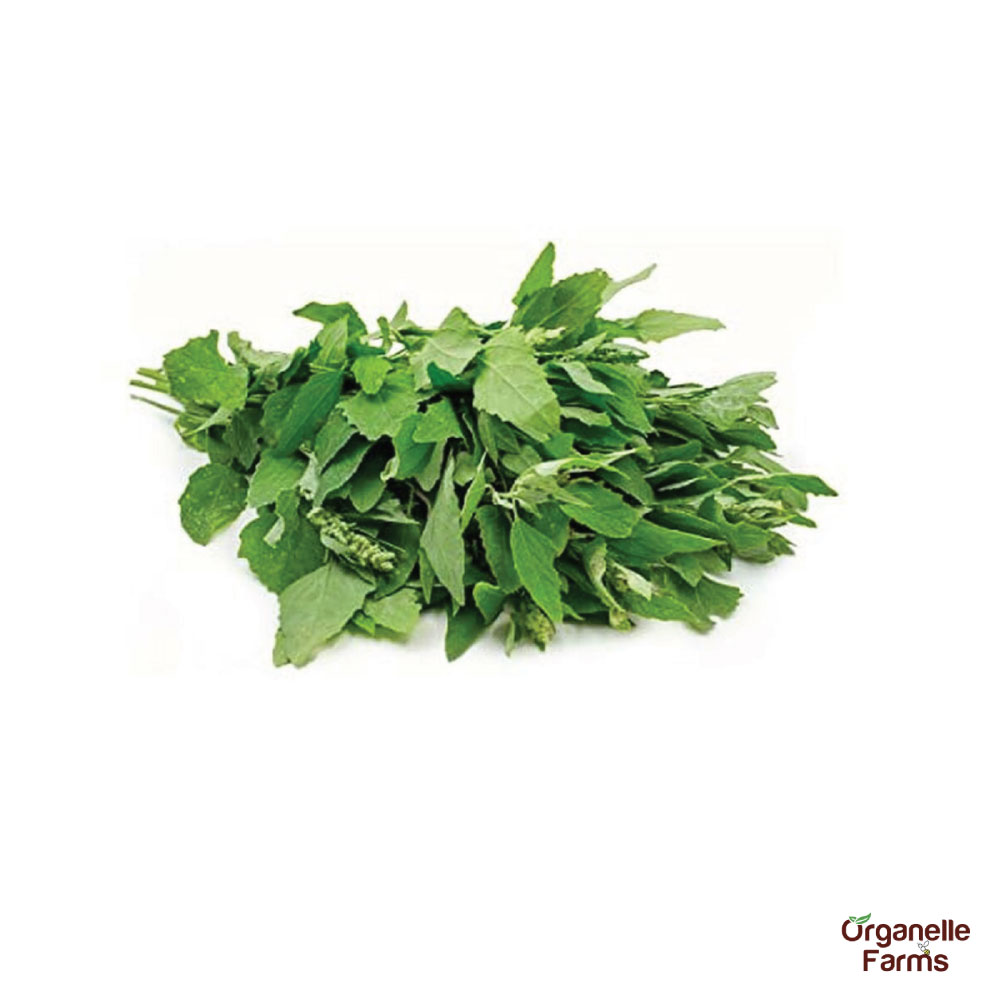 Bathua Saago - 100 Gms