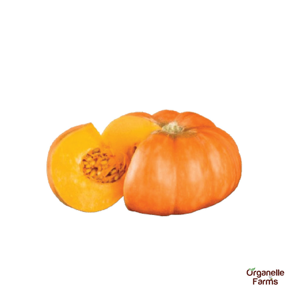Pumpkin Red - 500 Gms