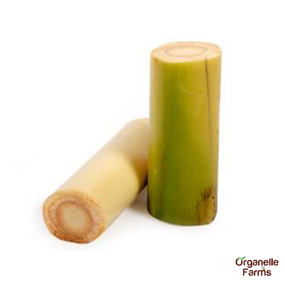 Banana Stem-1Pc (900Gms - 1.2 Kg)