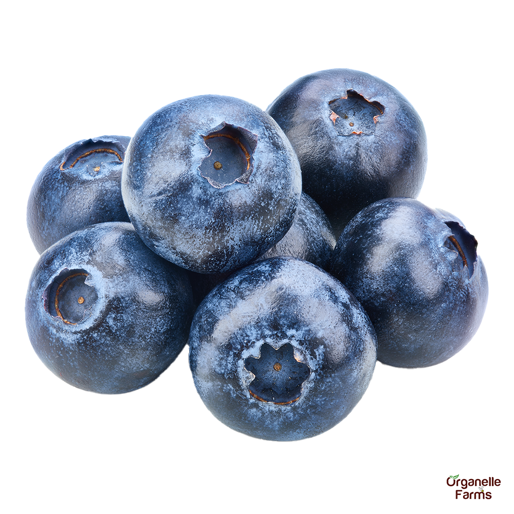 Blueberries-125Gms (Packet)