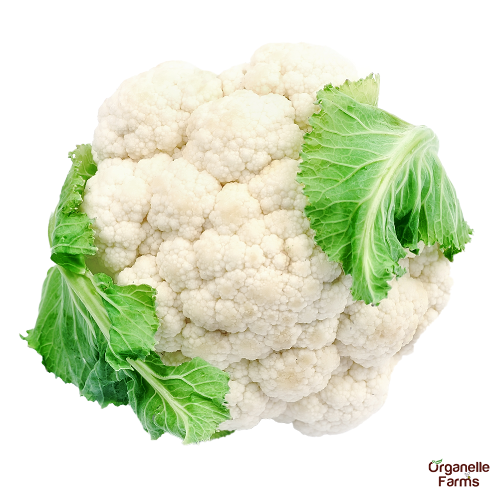 Cauliflower-pc(800 gm to 1200Gms)