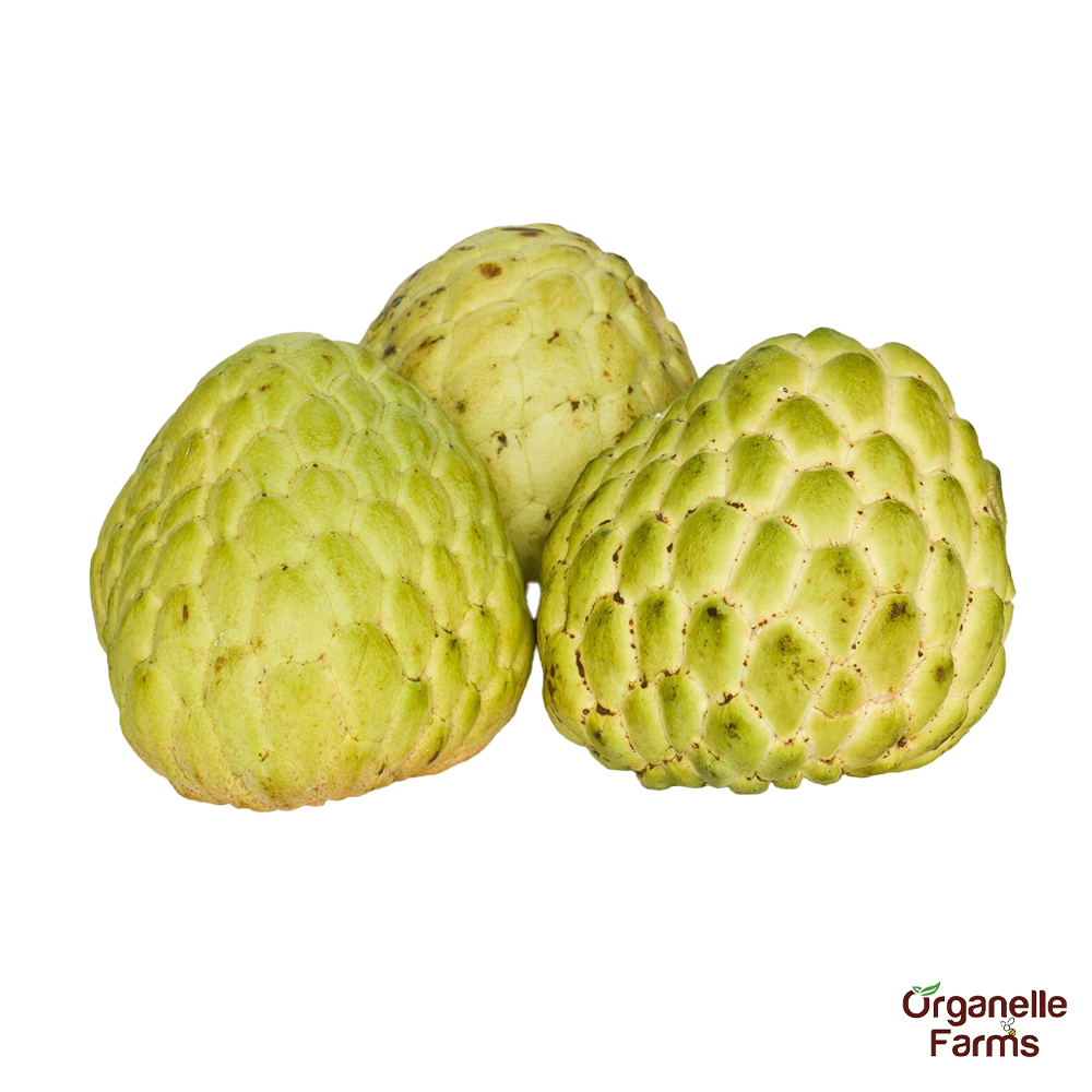 Custard Apple-500Gms