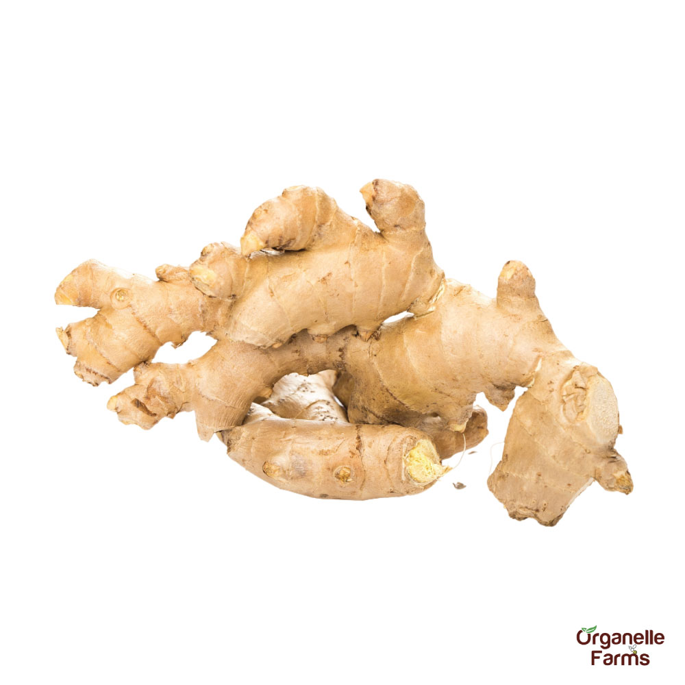 Ginger-100 Gms