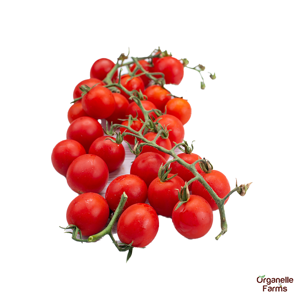 Cheery Tomato Red - 200 Gms