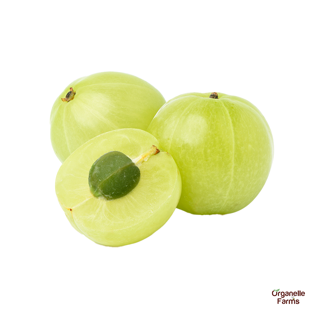 Amla - 100 Gms