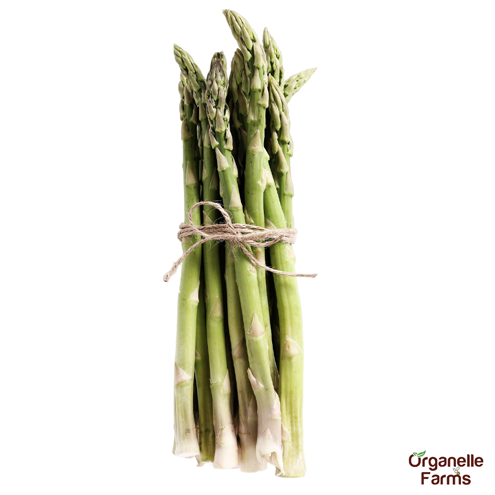 Asparagus 100 Gms (Imported)