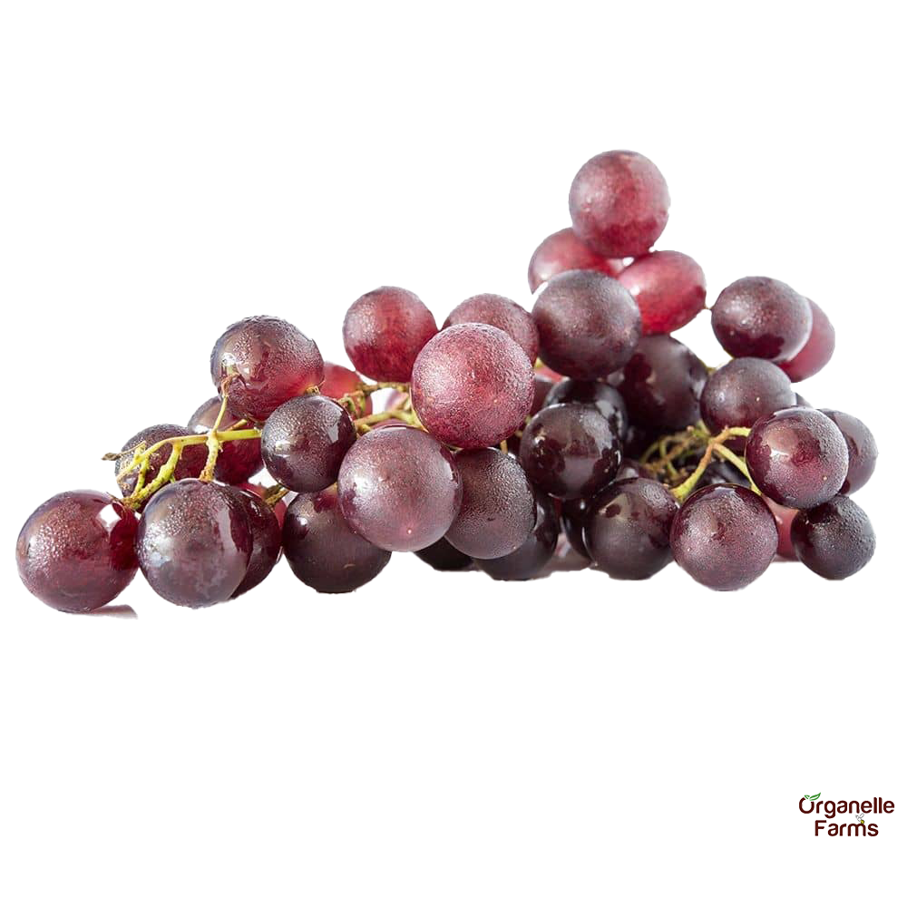 Australian Grapes-500 Gms