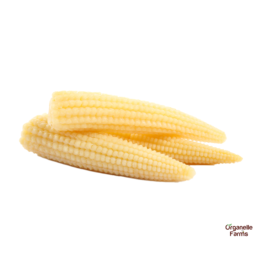 Baby Corn-200 Gms