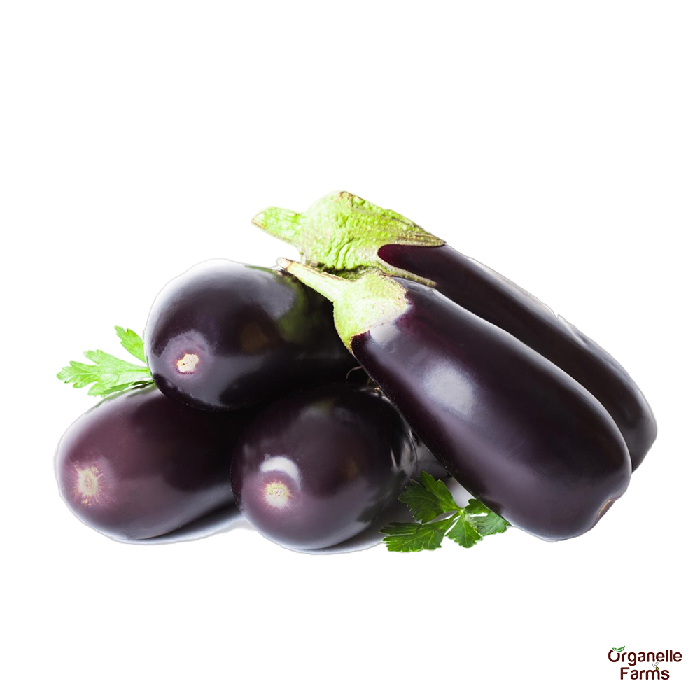 Black Brinjal (Long)-500gms