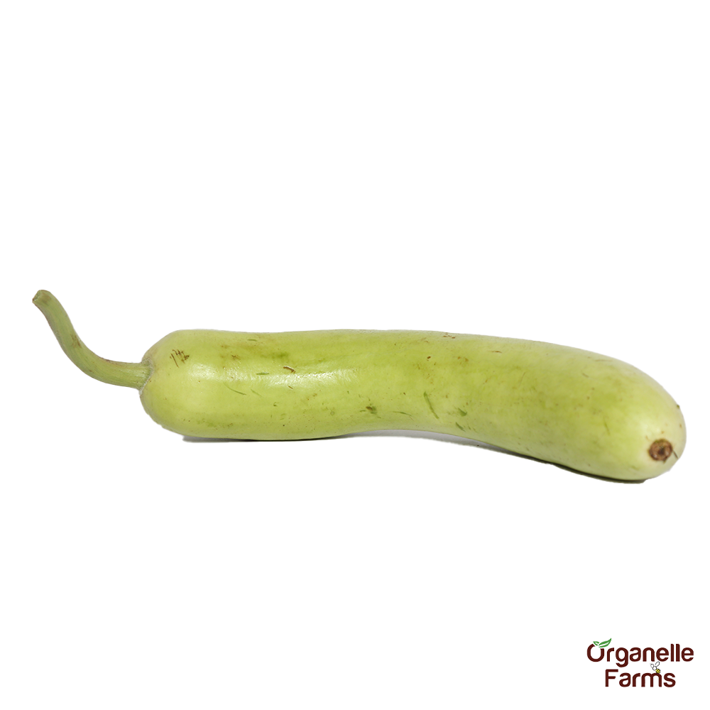 Bottle Gourd-1kg(approx)