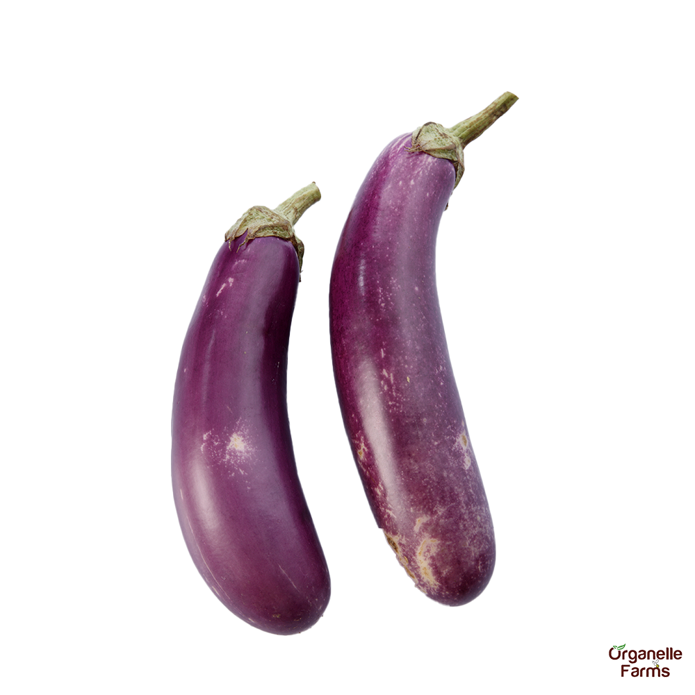 Brinjal Long (Purple)-500gms