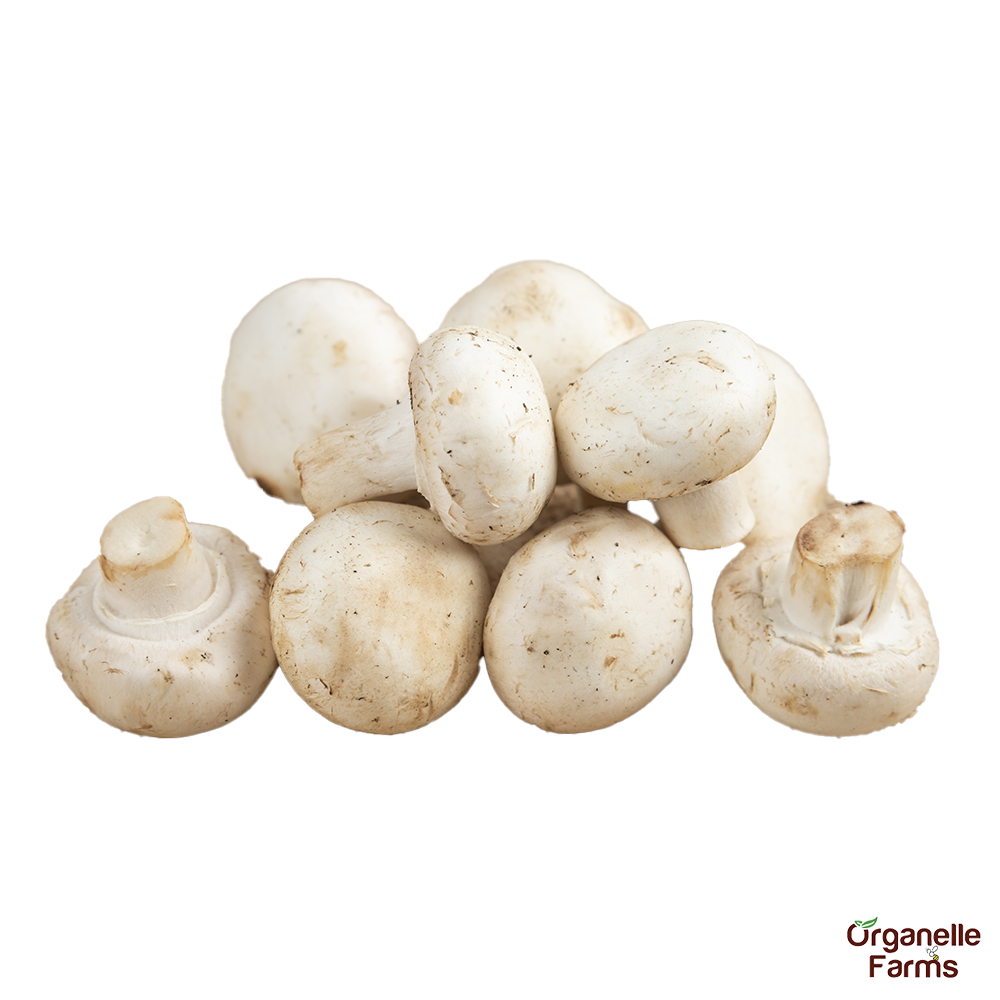 Button Mushroom - 200Gms