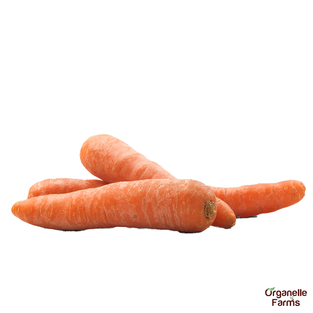 Carrot-500 Gms