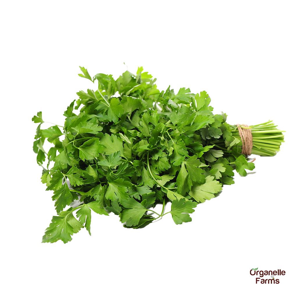Coriander Leaves-100 Gms
