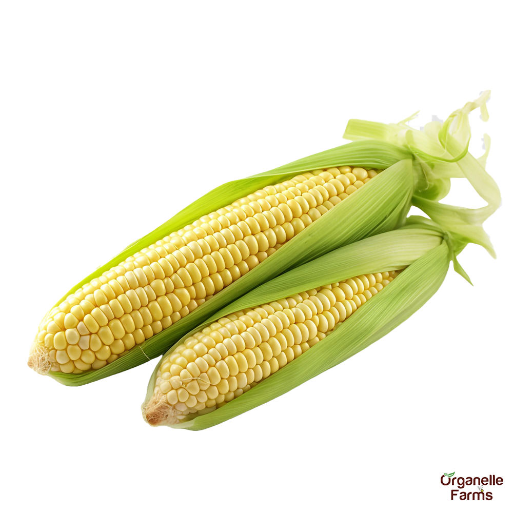 Corn Raw-1pc