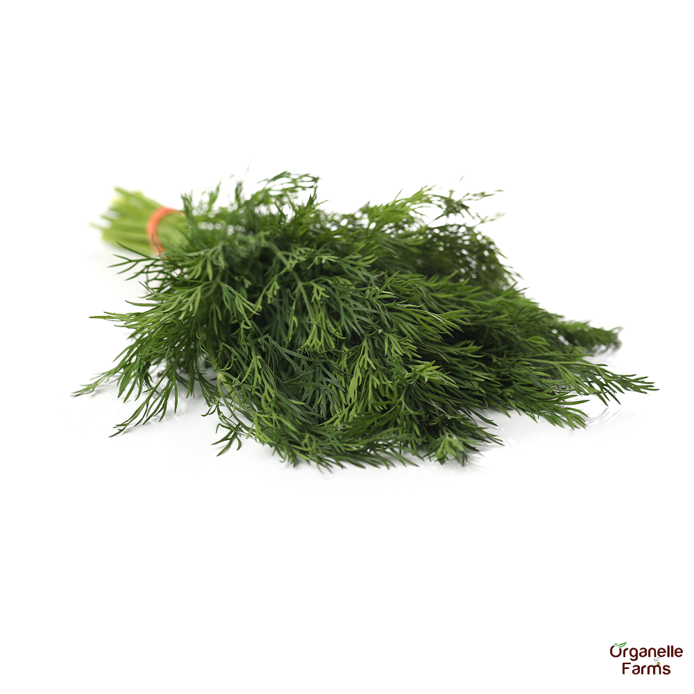 Dill Leaves 100 Gms