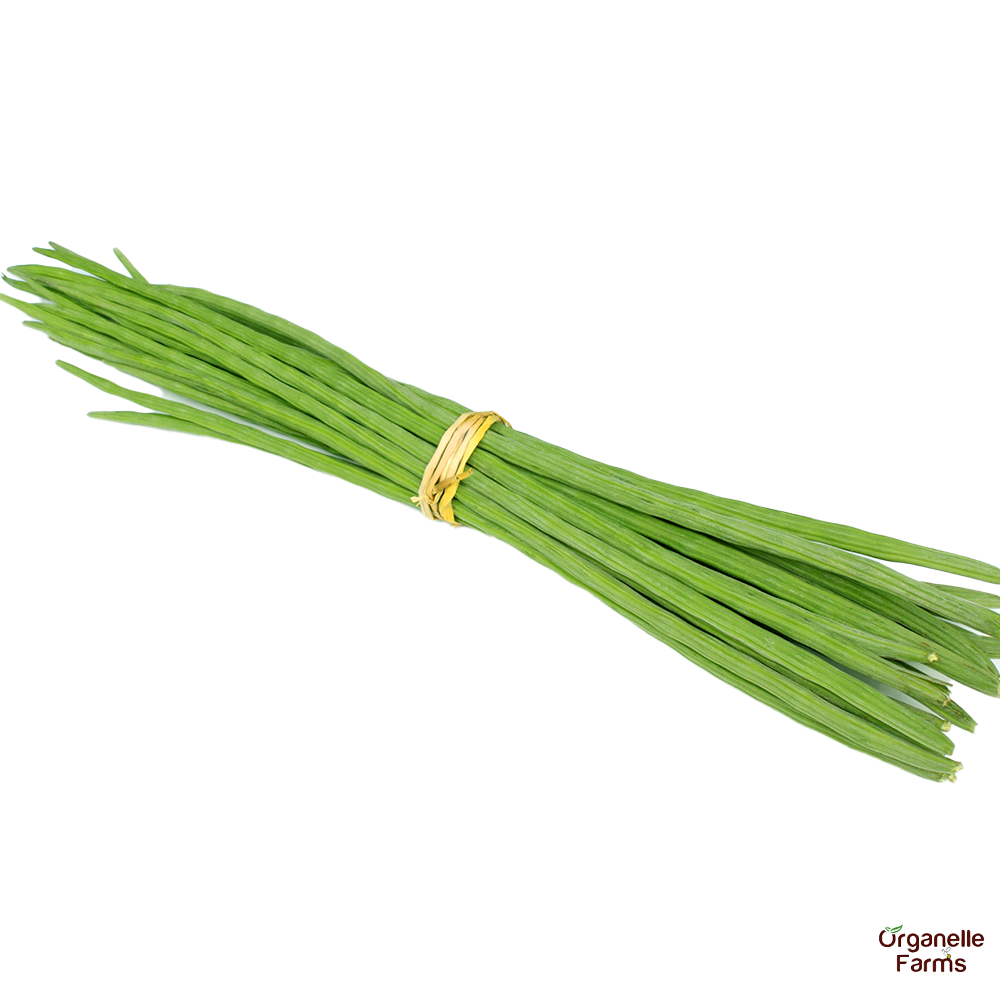 Drumstick-250 Gms