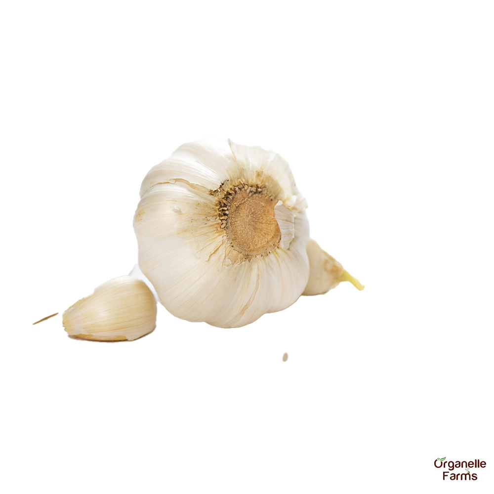 Garlic-100gms