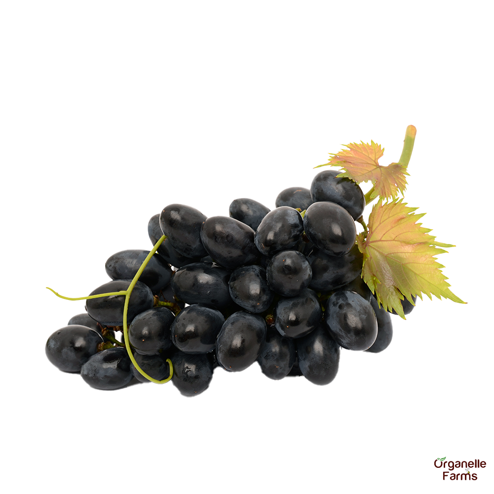 Grapes Black-500 Gms