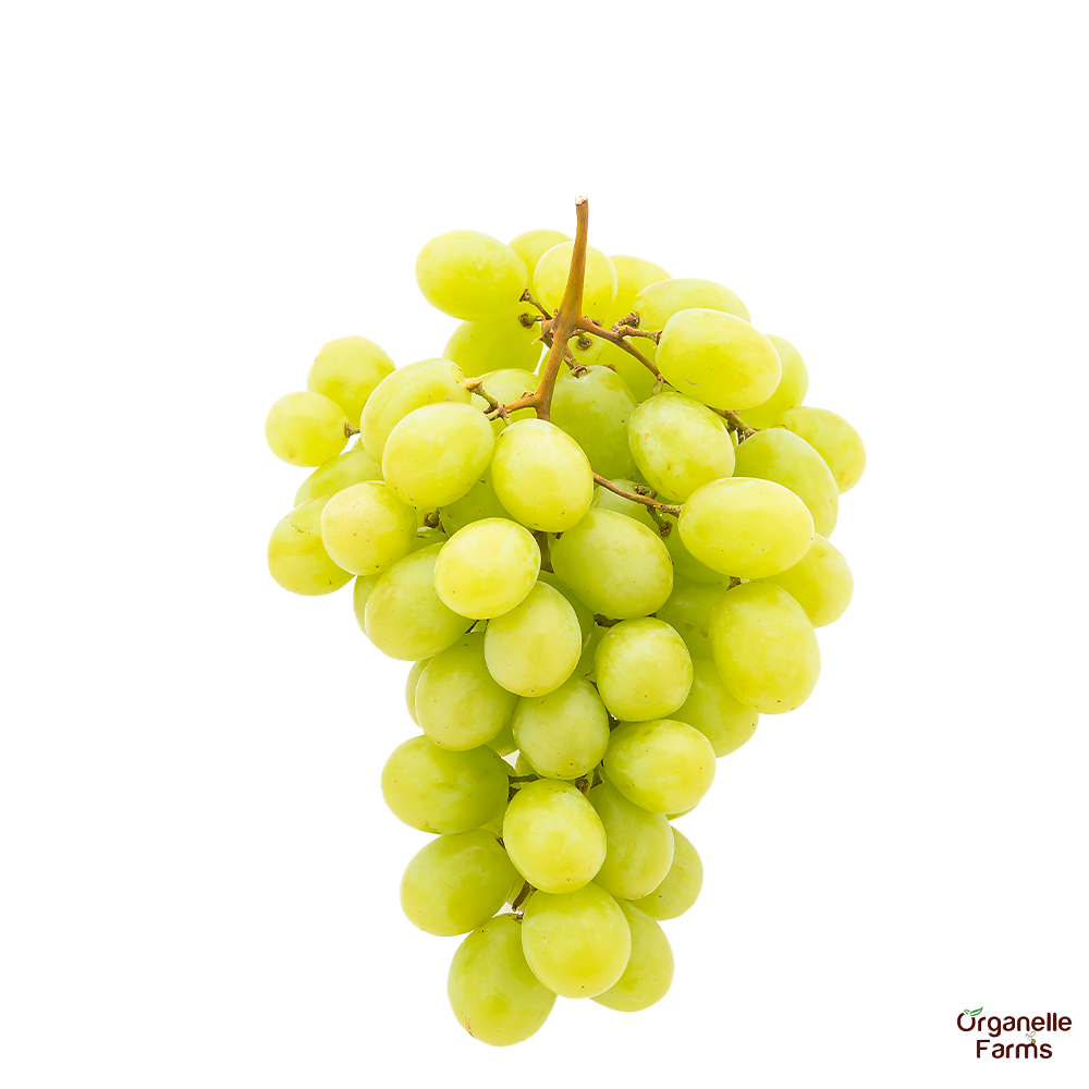 Grapes Green-500 Gms