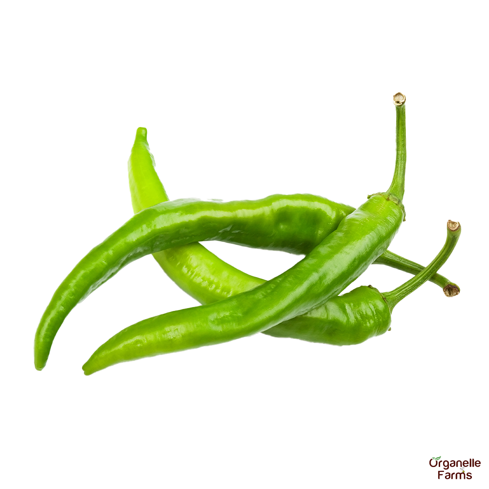 Green Chilli-100 Gms