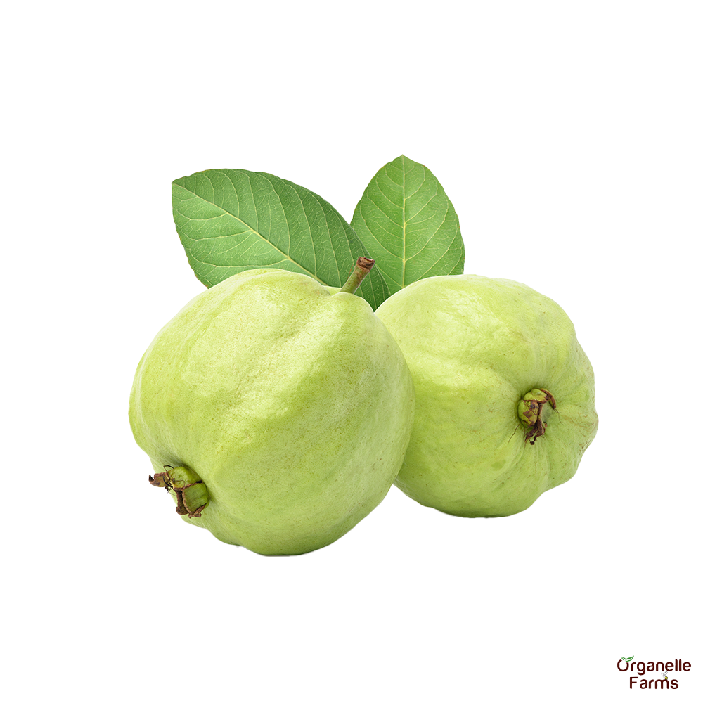 Guava Jumbo-1Kg