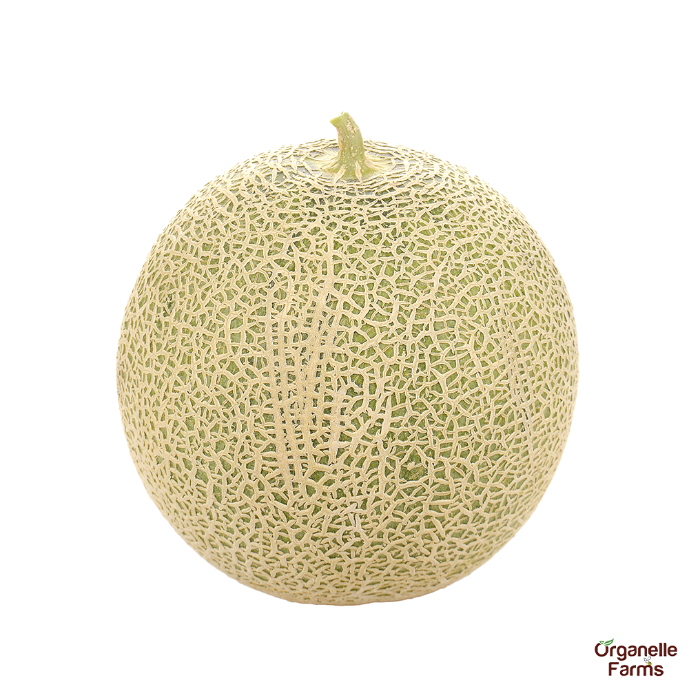 Musk Melon(500gms-750gms)