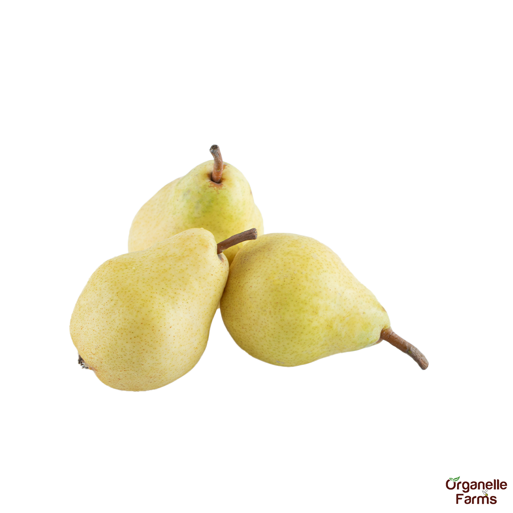 Pears Imported-500 Gms