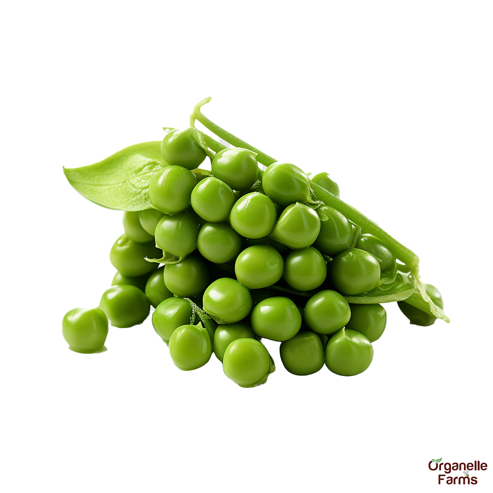 Peas Frozen/Matar-250 Gms