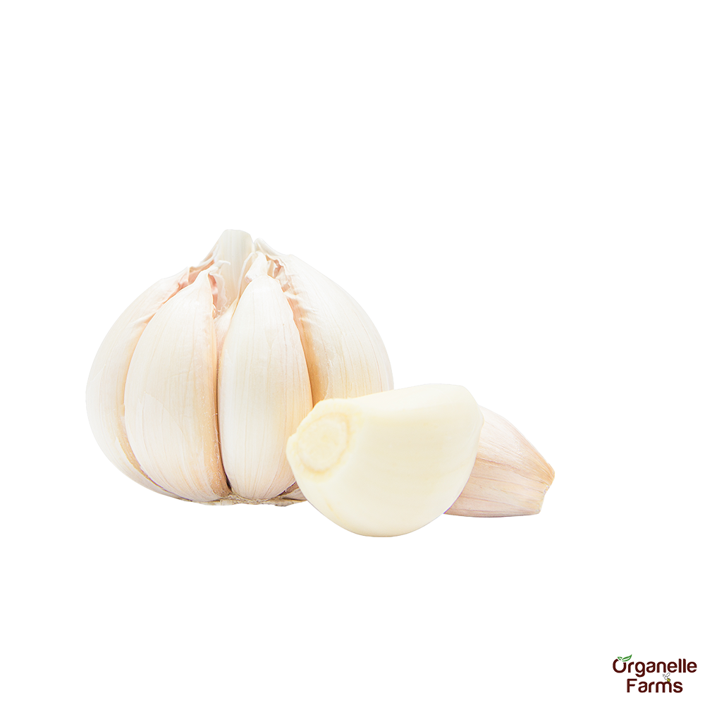 Peeled Garlic-1kg