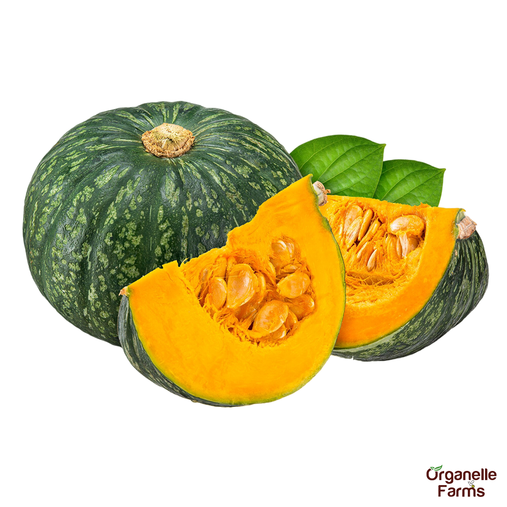 Pumpkin-500 Gms