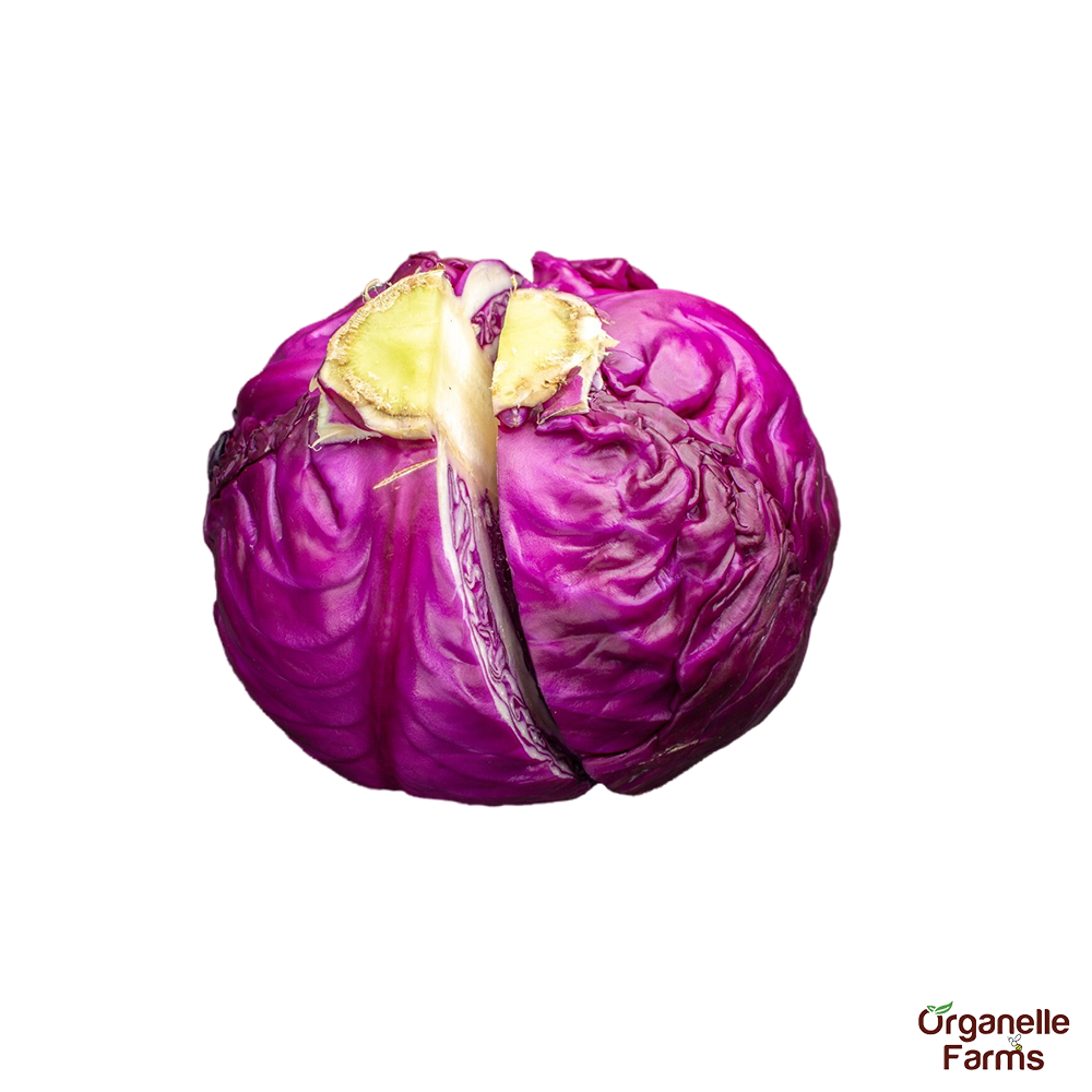 Red Cabbage-1 Pc (300 - 600 Gms approx.) 