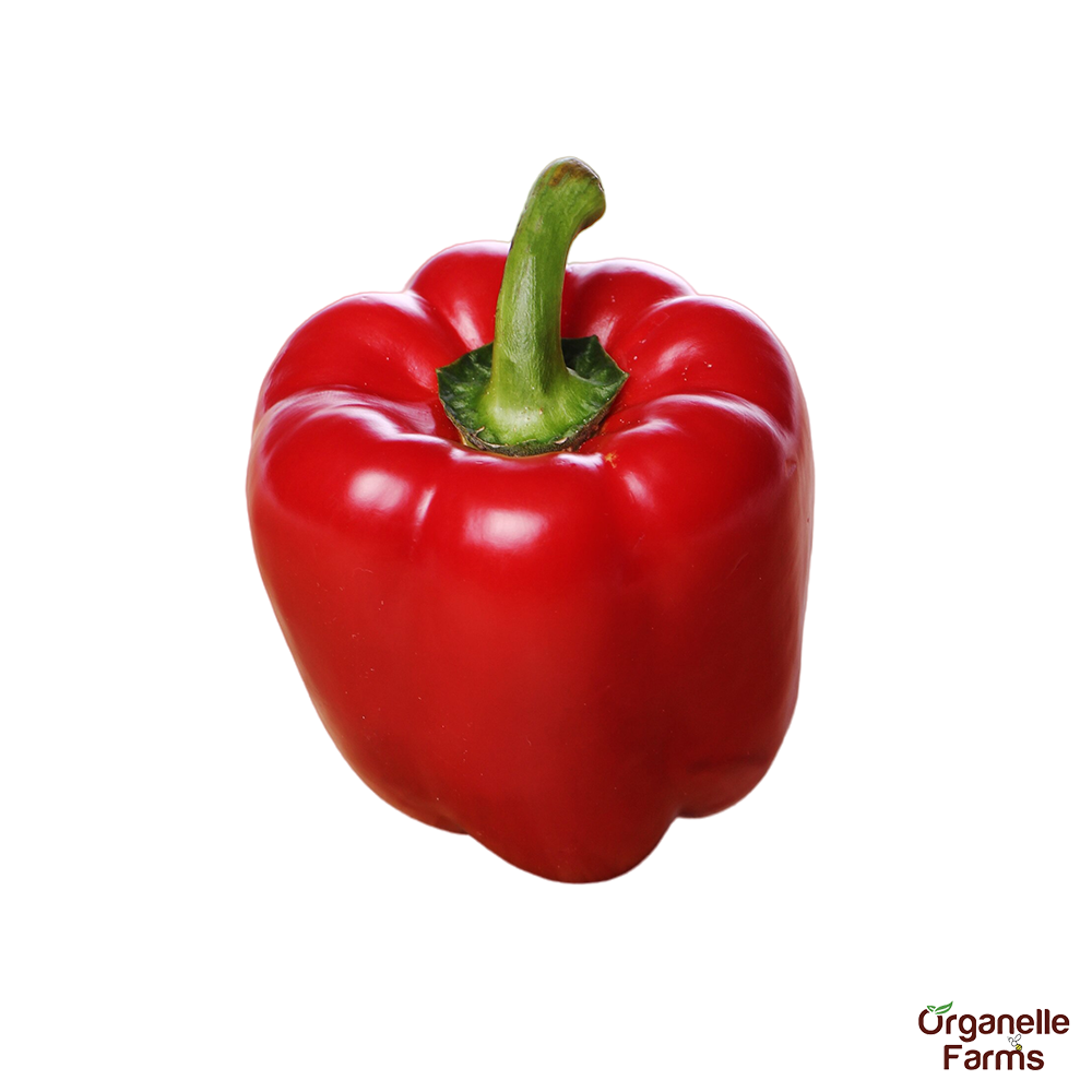 Red Capsicum- 500gms