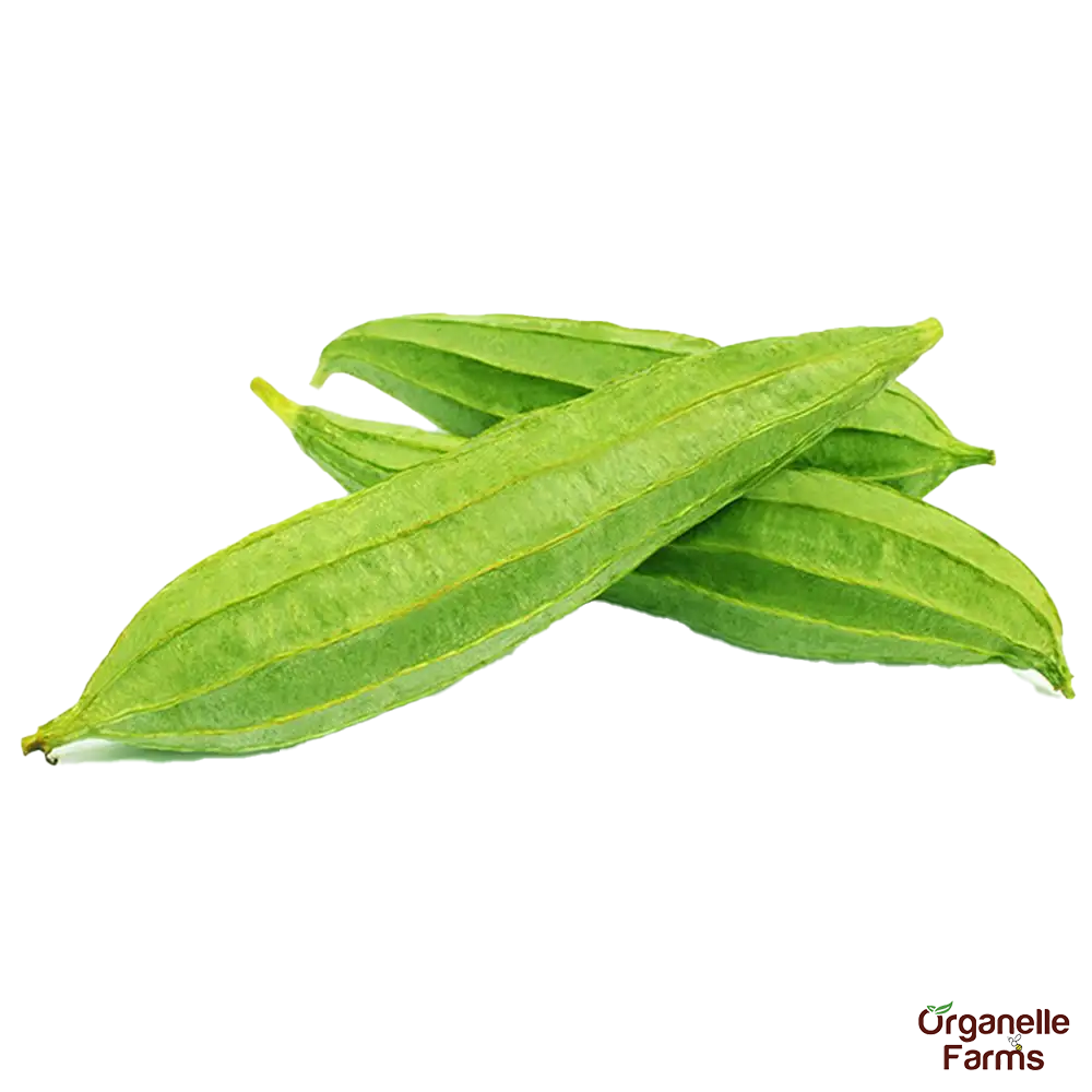 Ridge Gourd(Janhi)- 500 Gms