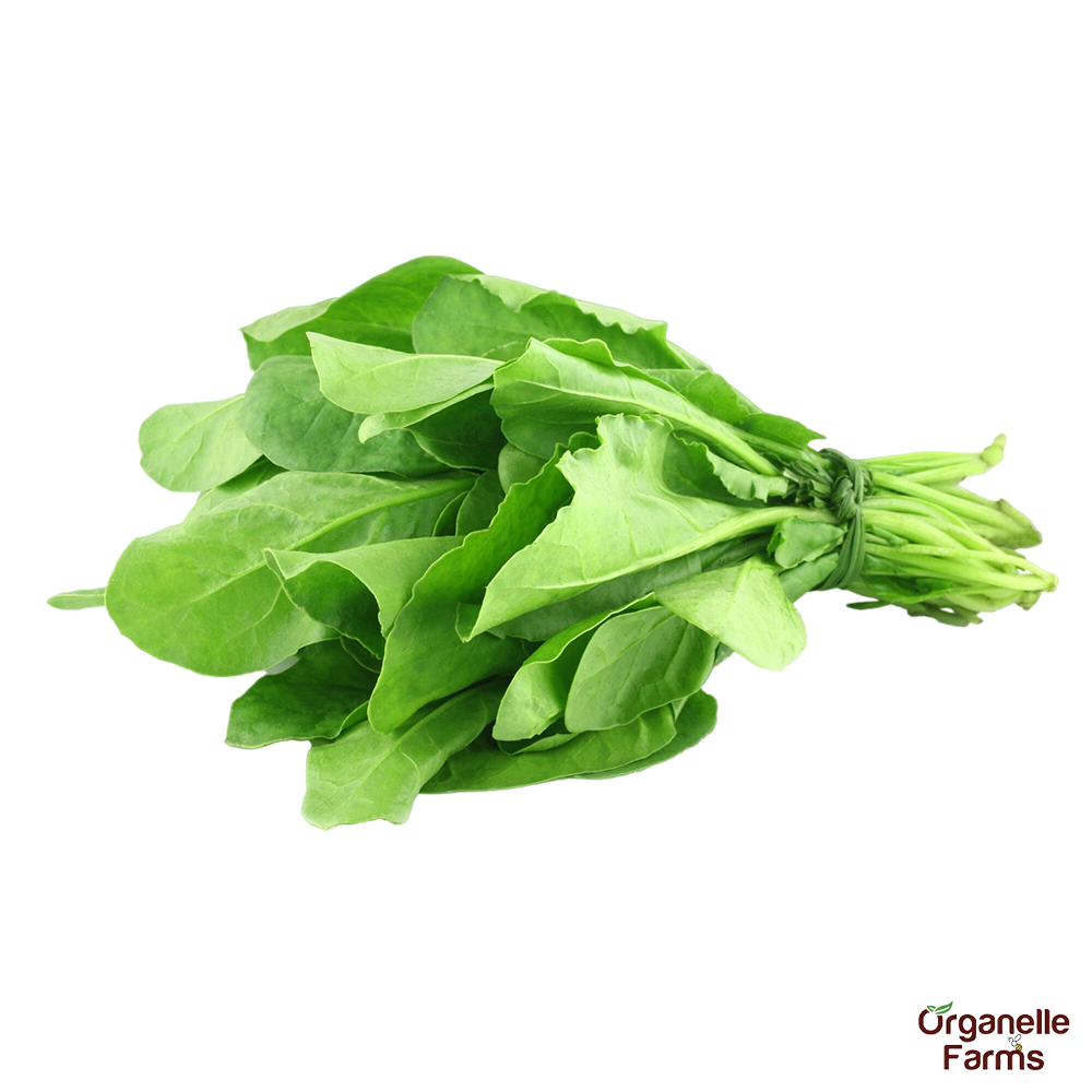 Spinach-100 Gms