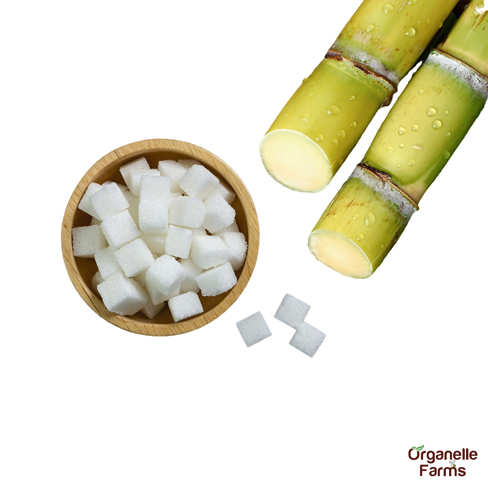 Sugarcane (Cut)-500 Gms