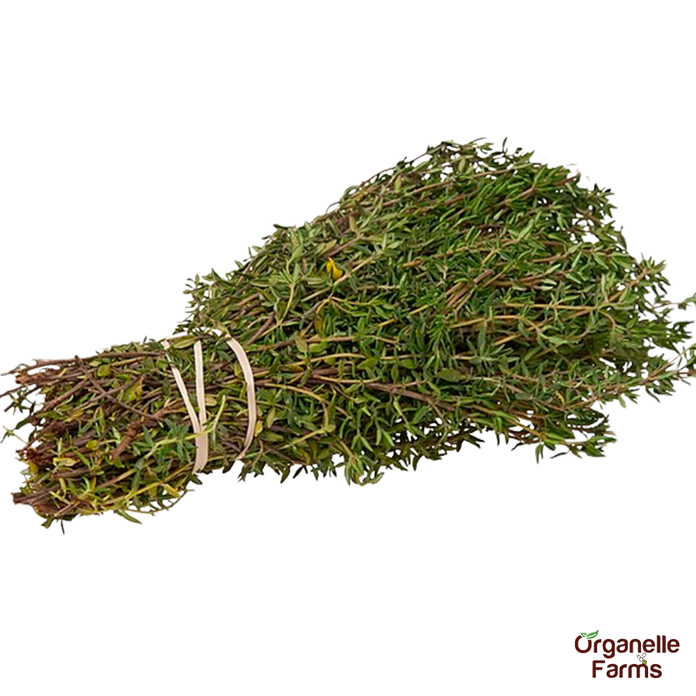 Thyme-100 Gms