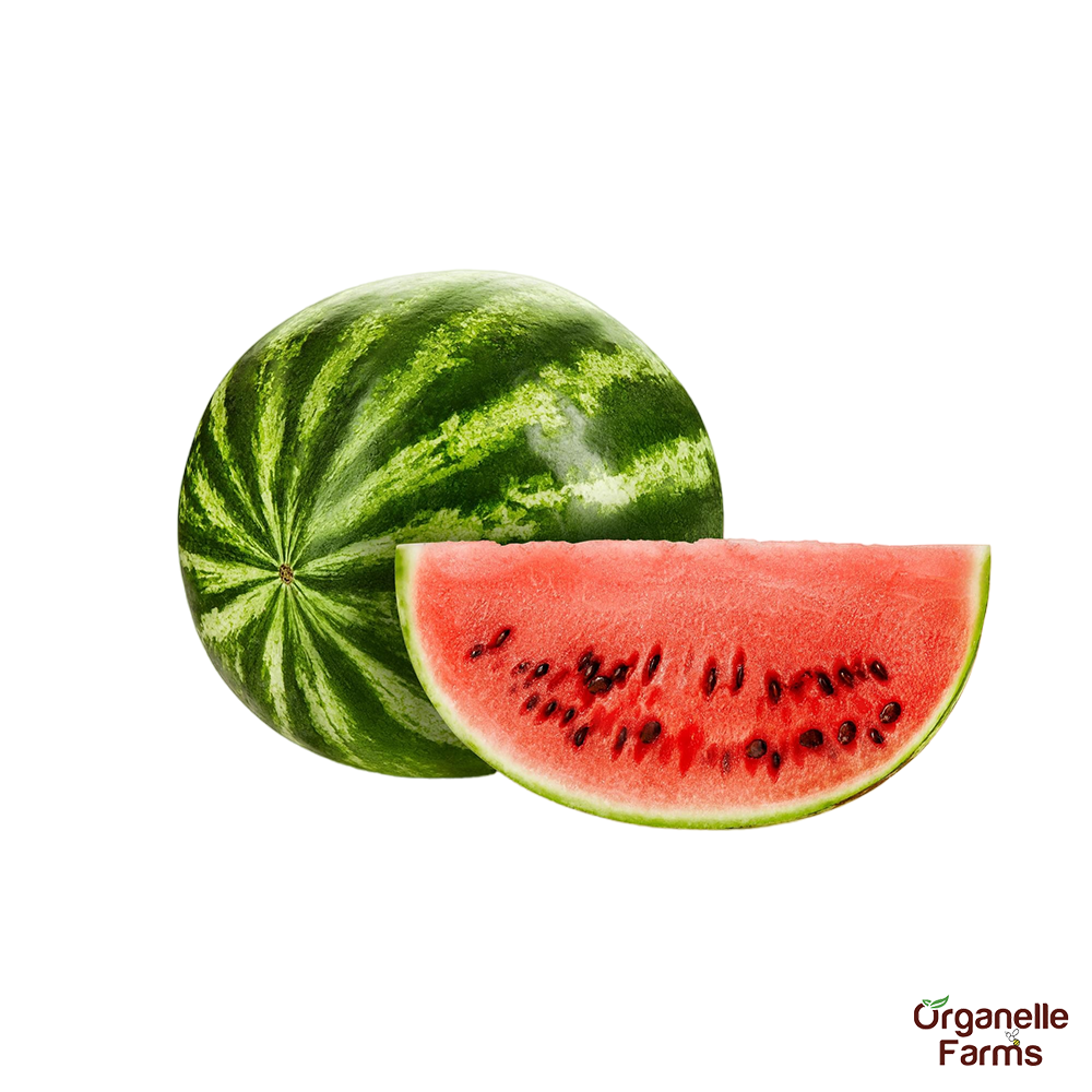 Watermelon Long-(Approx 2-3kg-1pc)