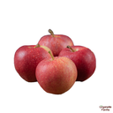 Apple Gala