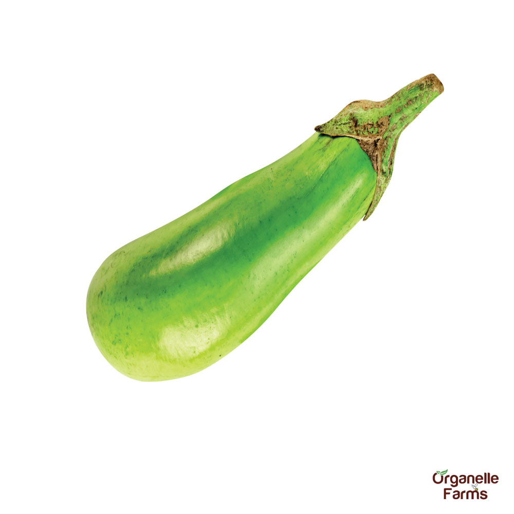 Brinjal long green-500gm