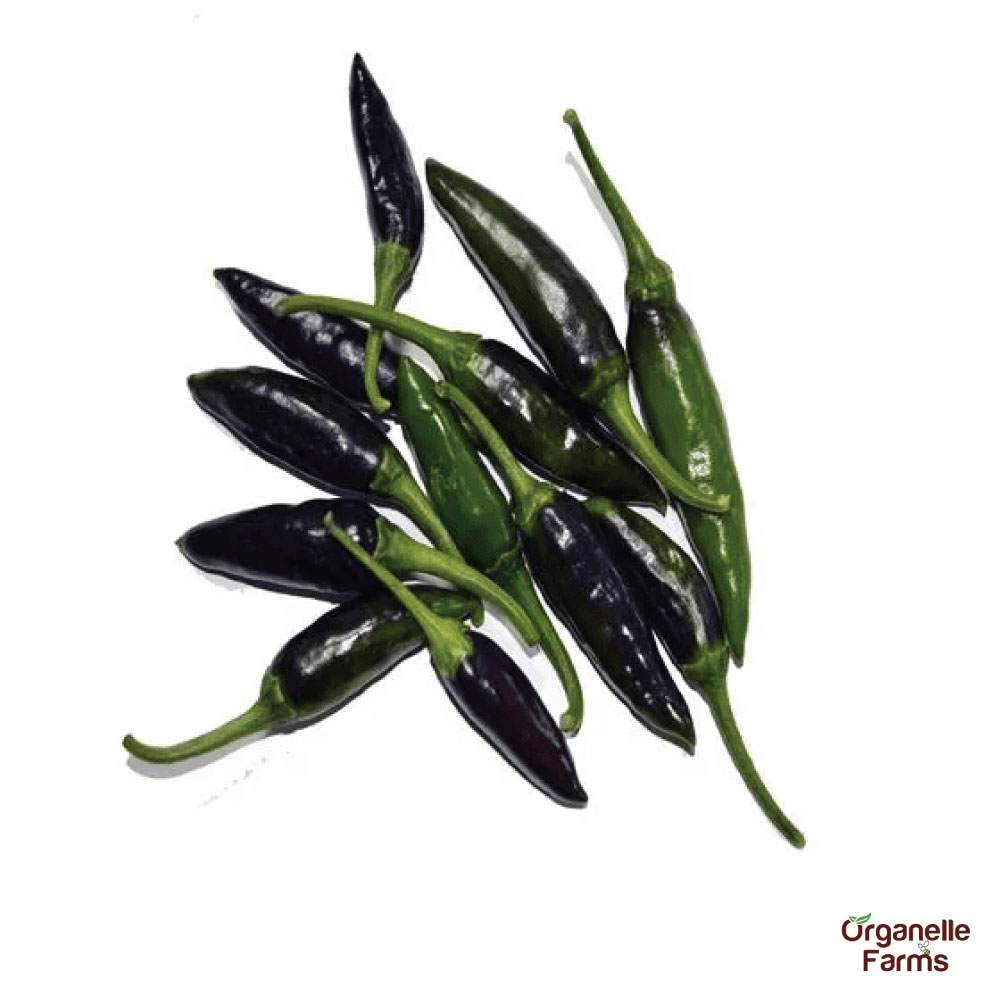 Chilli Black - 100 Gms