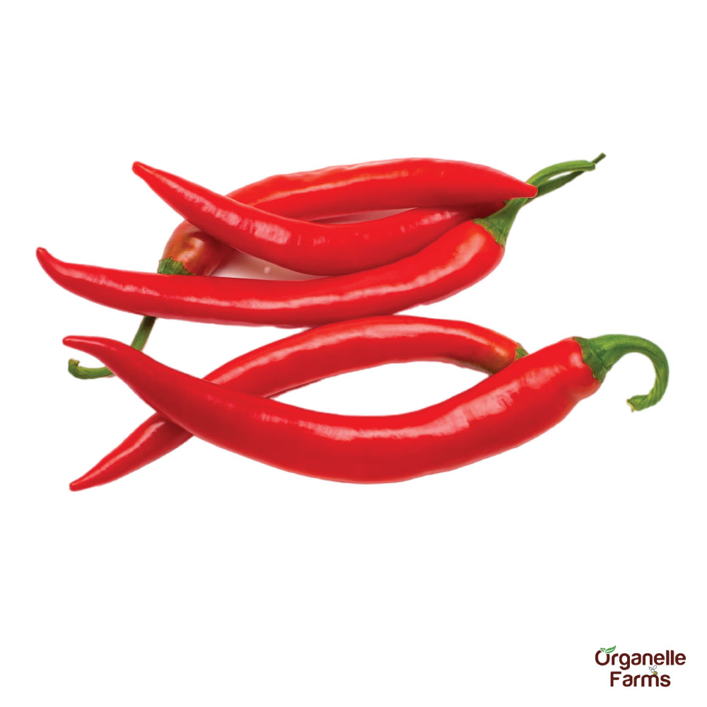 Chilli Red - 100 Gms