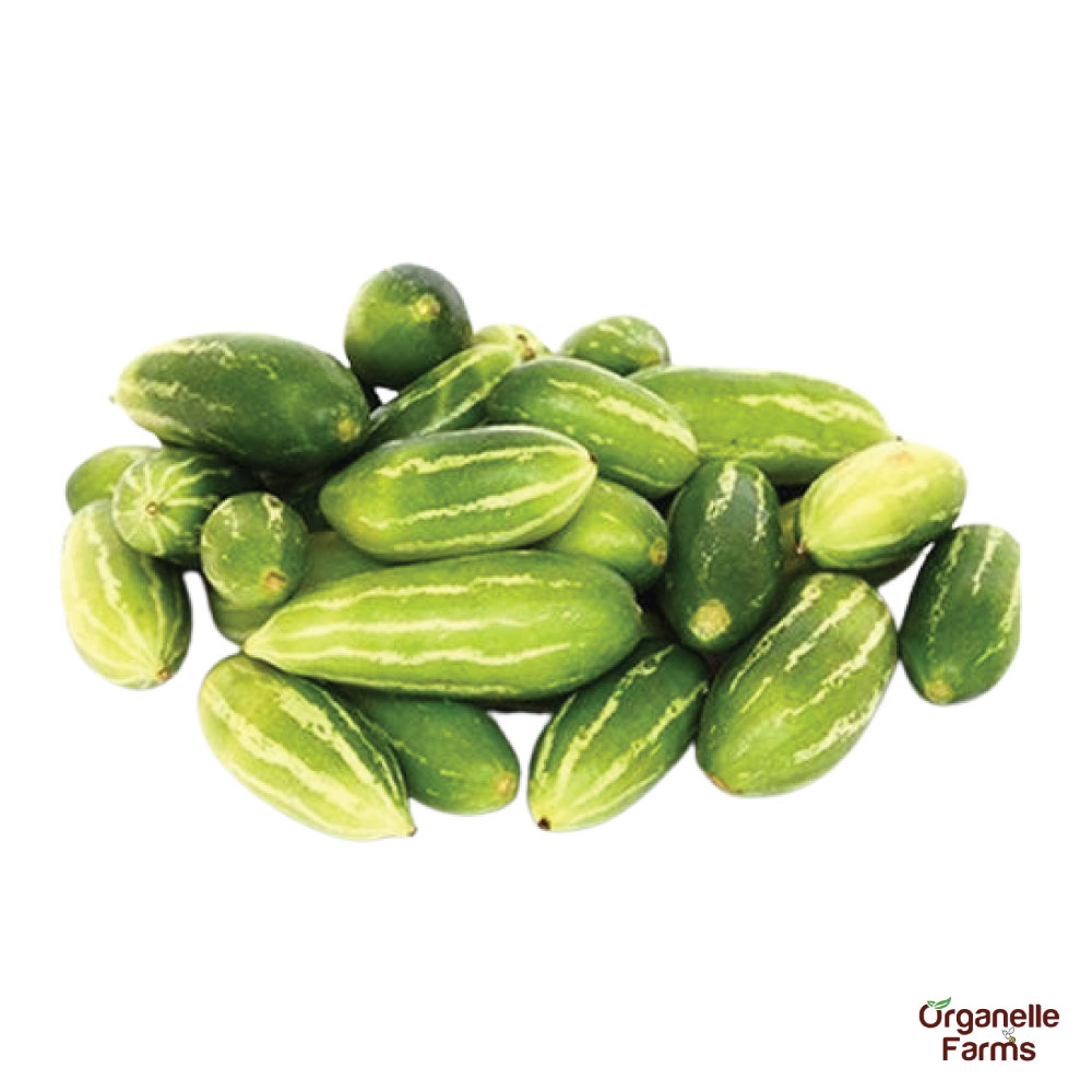 Ivy Gourd (Kundri)-250 Gms