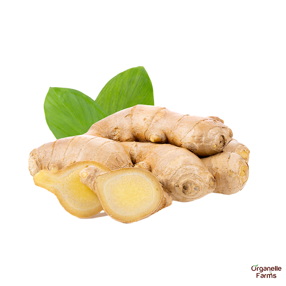 Mango Ginger-100 Gms 