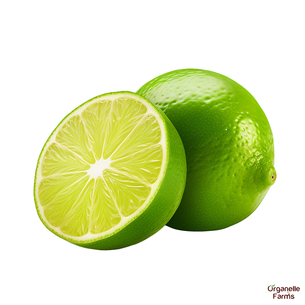 Lemon- 4 pc